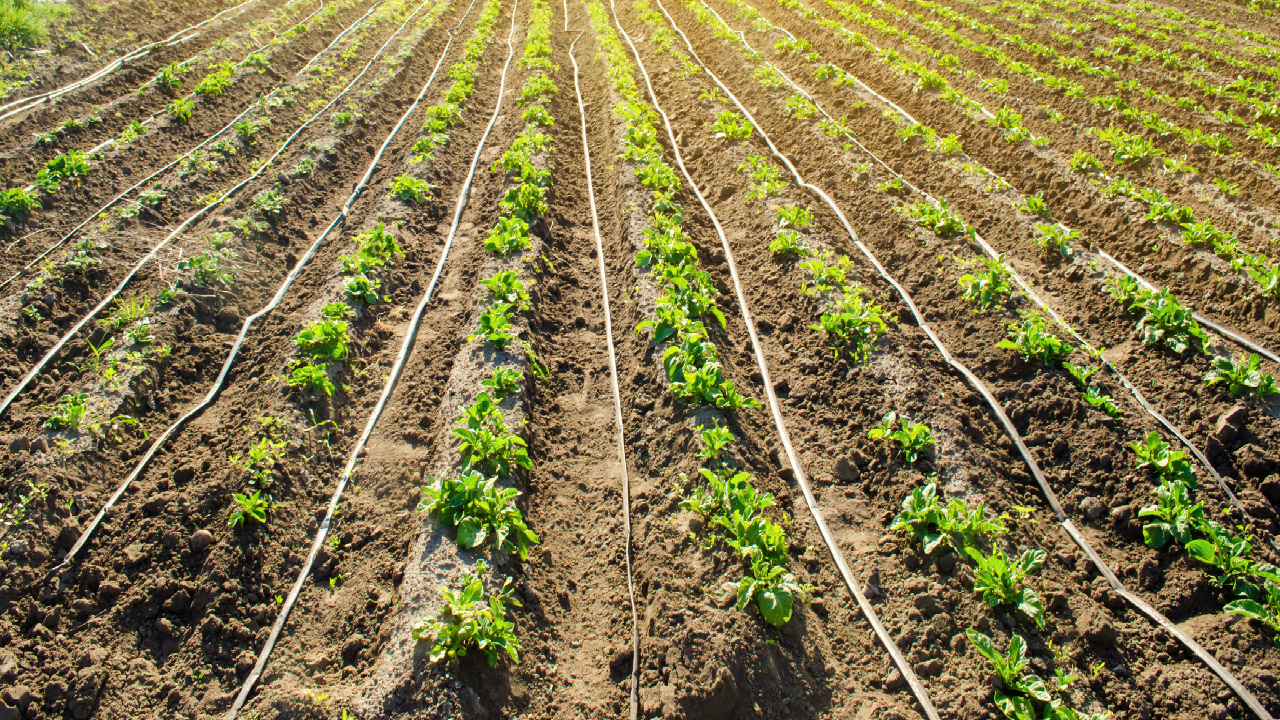 How to Resolve Water Flow Issues within Your Drip Irrigation System How to Resolve Water Flow Issues within Your Drip Irrigation System
