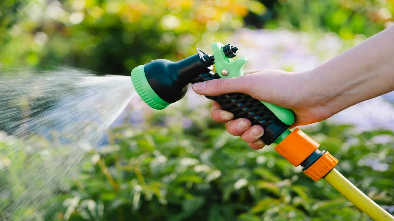 Fall Gardening Guide: September Watering and Mulching Tips