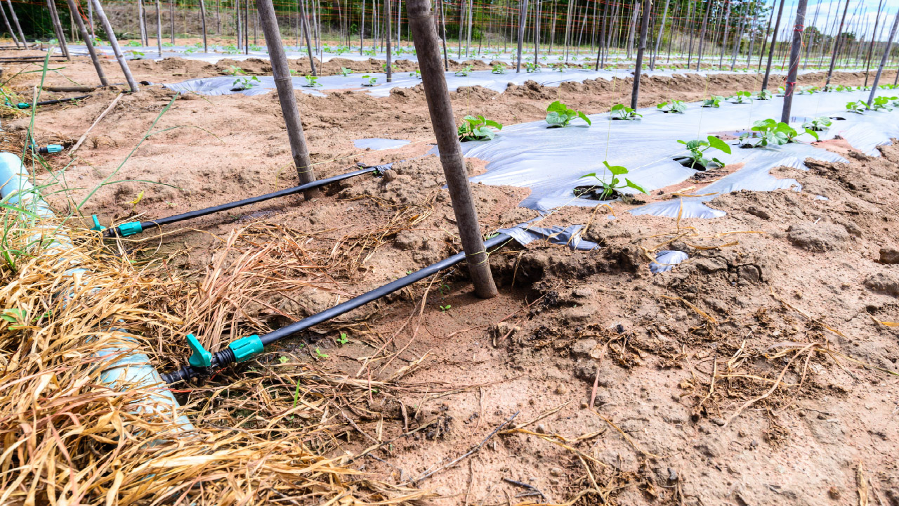 How to Remove Iron from Water in Your Irrigation System How to Remove Iron from Water in Your Irrigation System