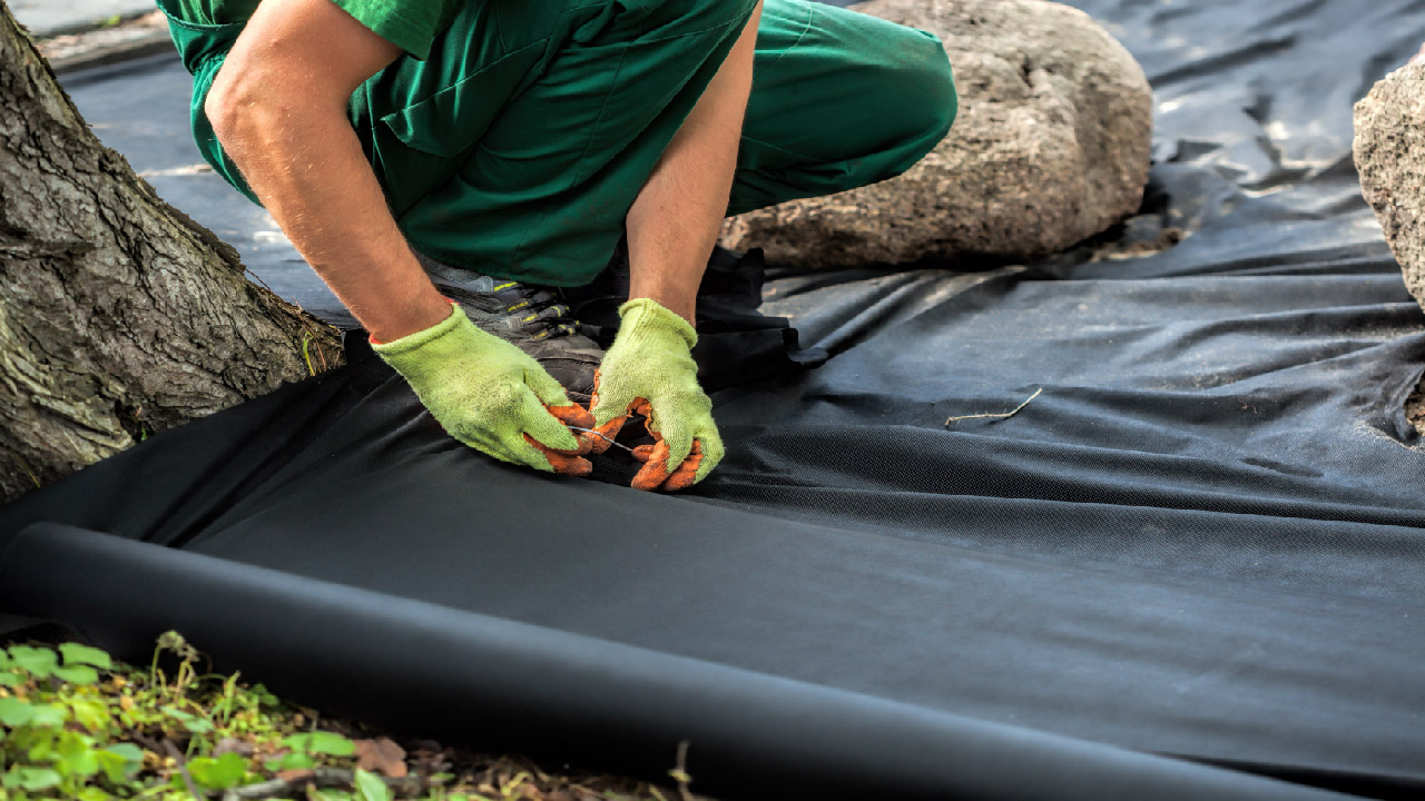 How to Keep Weeds out of a Rock Garden How to Keep Weeds out of a Rock Garden