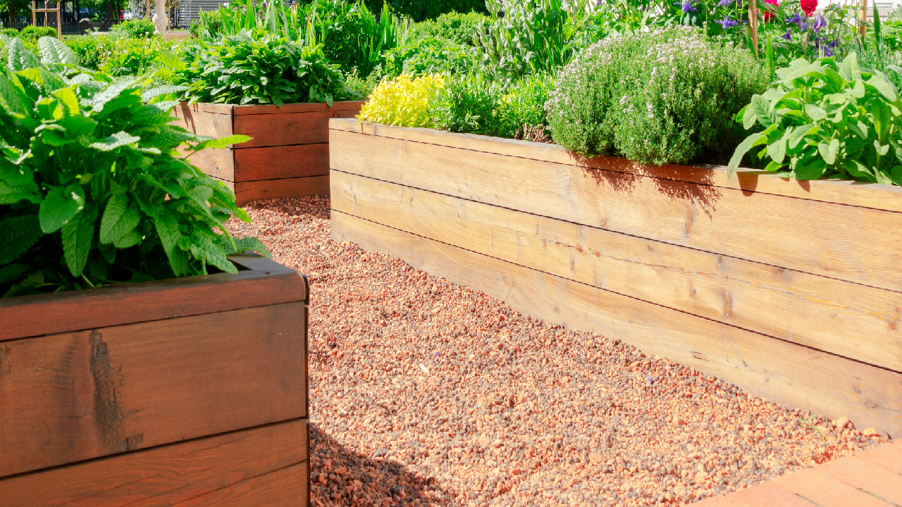 5 Plants to Avoid for a More Productive Raised Garden Bed 5 Plants to Avoid for a More Productive Raised Garden Bed