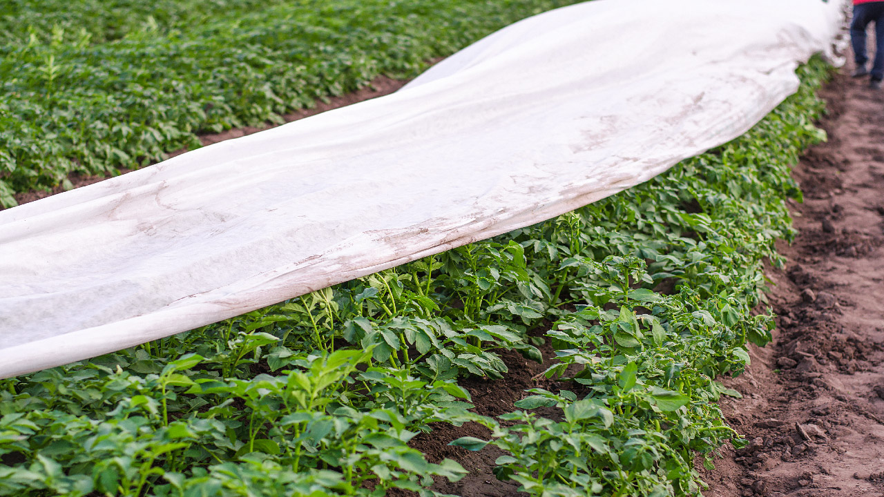 5 Mistakes When Preparing Your Garden for Winter