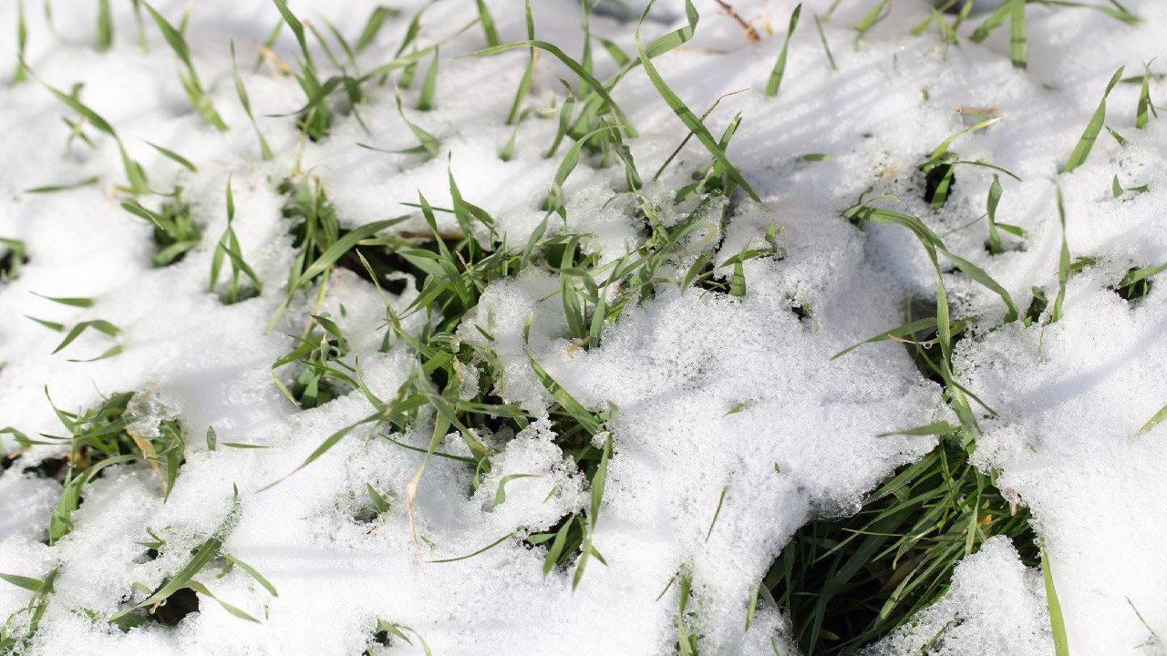 How to Winterize Your Sprinkler System How to Winterize Your Sprinkler System