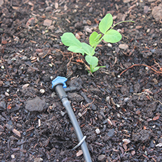 Drip Irrigation Kits & Greenhouse Misters - DripWorks