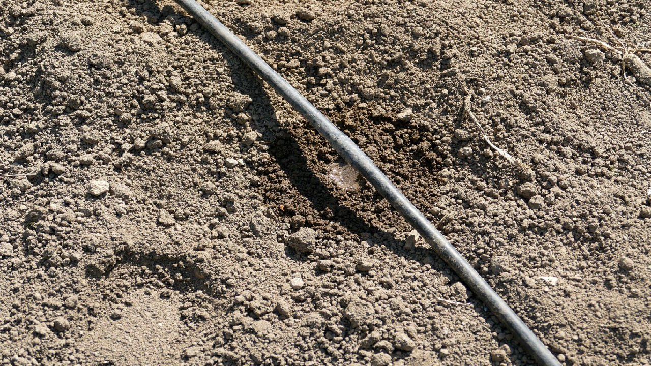 What is Foundation Watering and How Does it Work? DripWorks