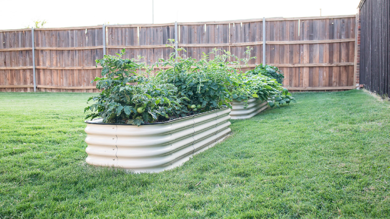 DIY Raised Garden Bed Ideas for 2024 - DripWorks