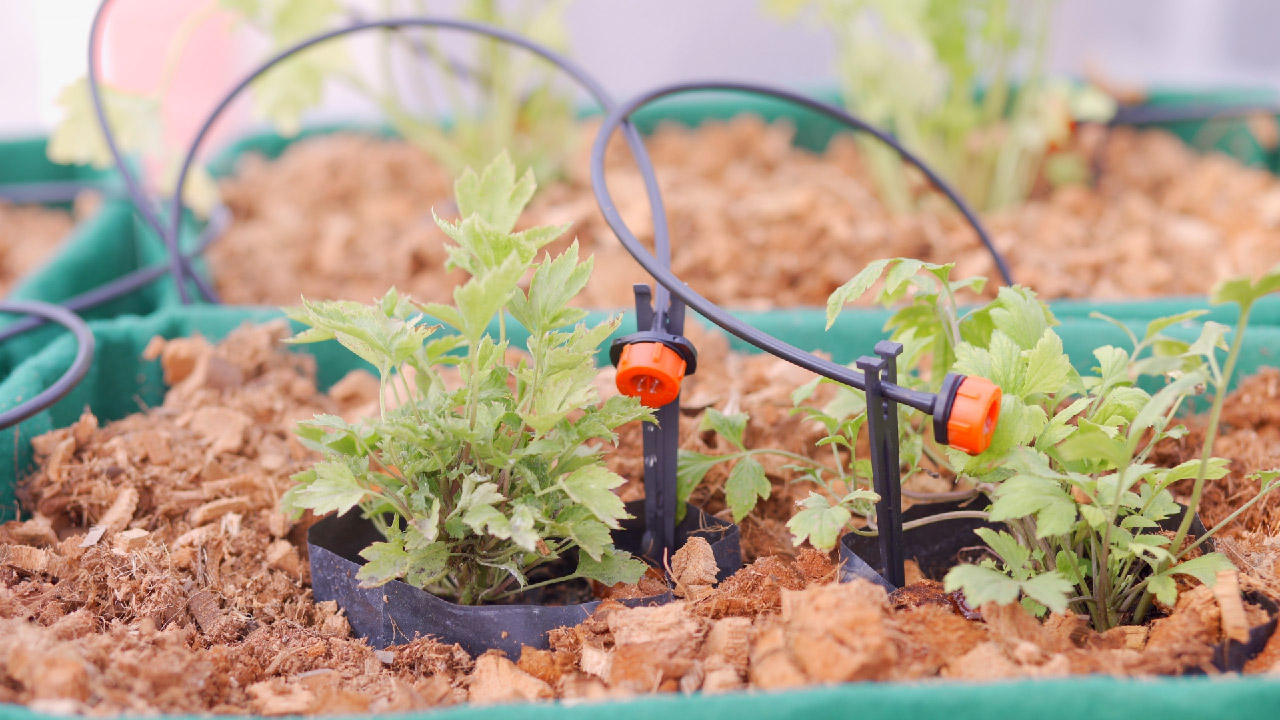 How to Clean a Clogged Emitter or Sprayer? DripWorks