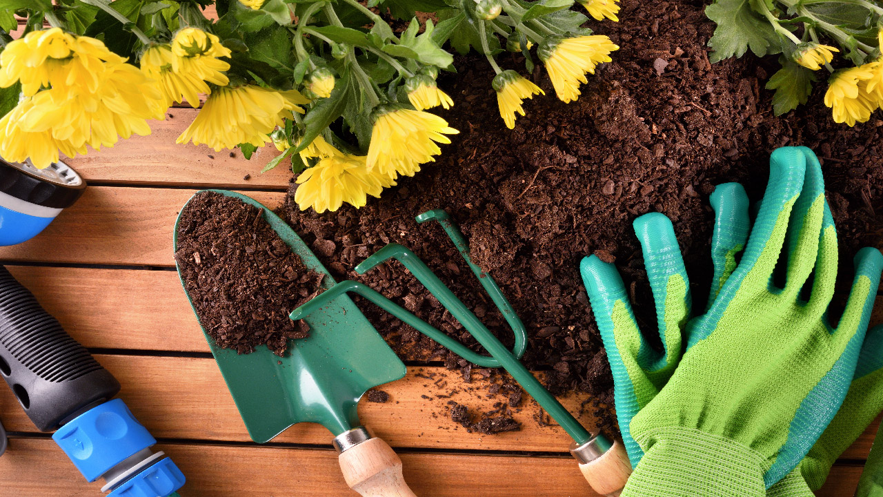 How to Choose Gardening Gloves - DripWorks