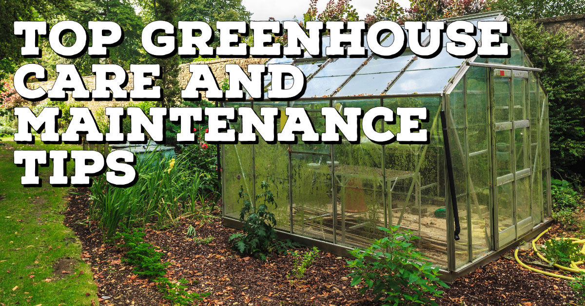 Top Greenhouse Care and Maintenance Tips DripWorks