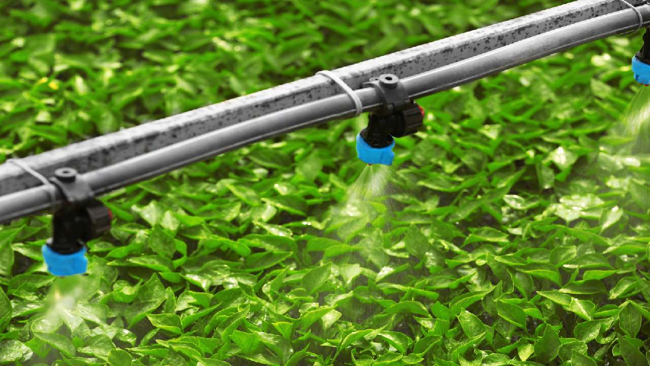 Fogger and Mister Guide DripWorks