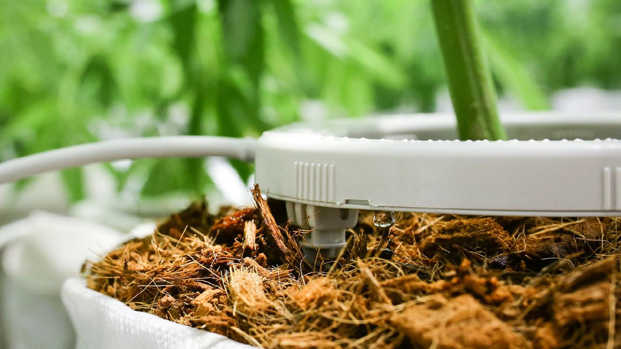 How to Use Netafim Drip Rings for Containers DripWorks