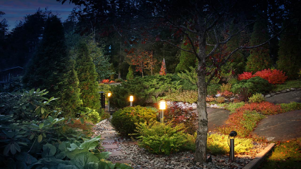 7 Inspiring Landscape Lighting Designs for a Stunning Backyard - DripWorks