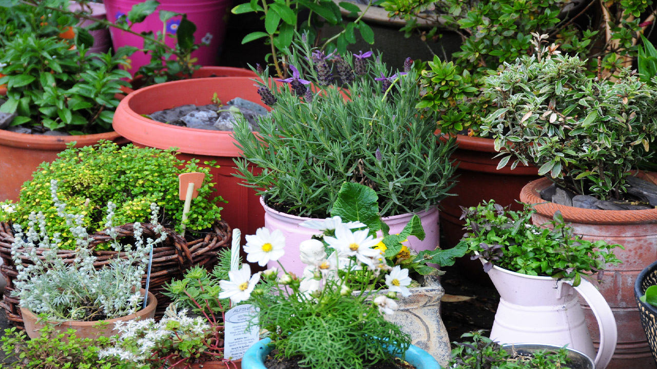 Fabric planters: Potted profits - Garden Center