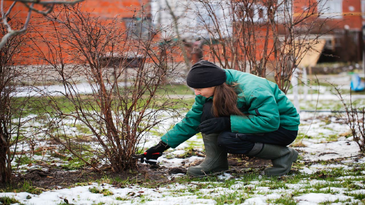 10 Things to Do in Winter to Prepare for Spring Garden - DripWorks