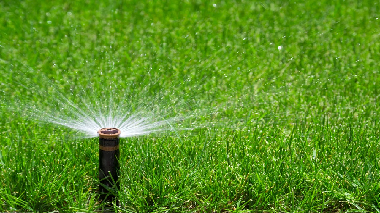 Top 5 Summer Maintenance Tips for Sprinkler Systems - DripWorks