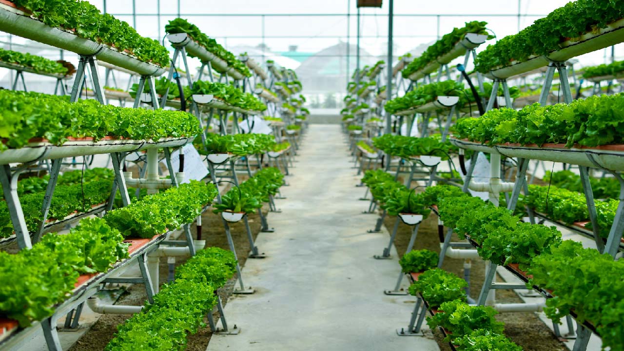 https://cdn11.bigcommerce.com/s-tjrce8etun/product_images/uploaded_images/vertical-farming.jpg