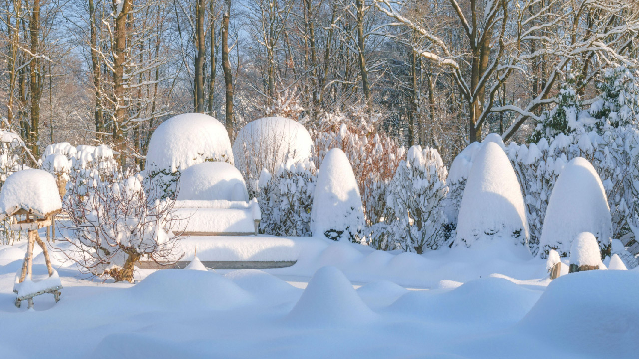 Natural Ways To Keep Your Garden Thriving Through Harsh Winter Weather