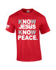 Know Jesus Know Peace men's Christian tee - design view 6
