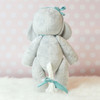In the Hoop Evangeline Elephant