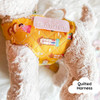 Puppy Dog Accessories Plushie Instant Download Machine Embroidery