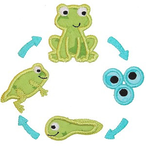 Frog Cycle Applique Embroidery Machine Design
