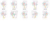Pinwheel Alpha Embroidery Machine Design