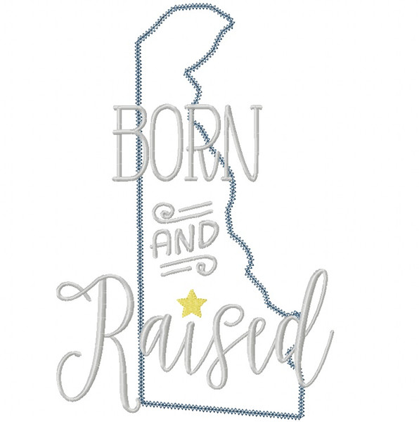 Delaware Born and Raised Vintage and Blanket Stitch Applique Machine Embroidery Design