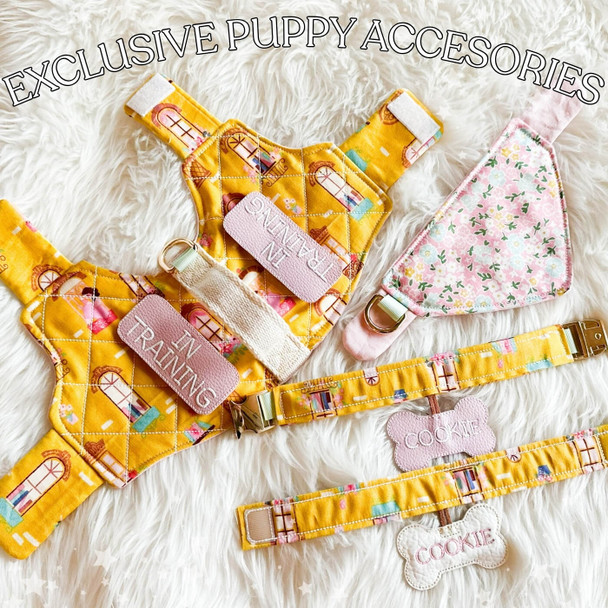 Puppy Dog Accessories Plushie Instant Download Machine Embroidery