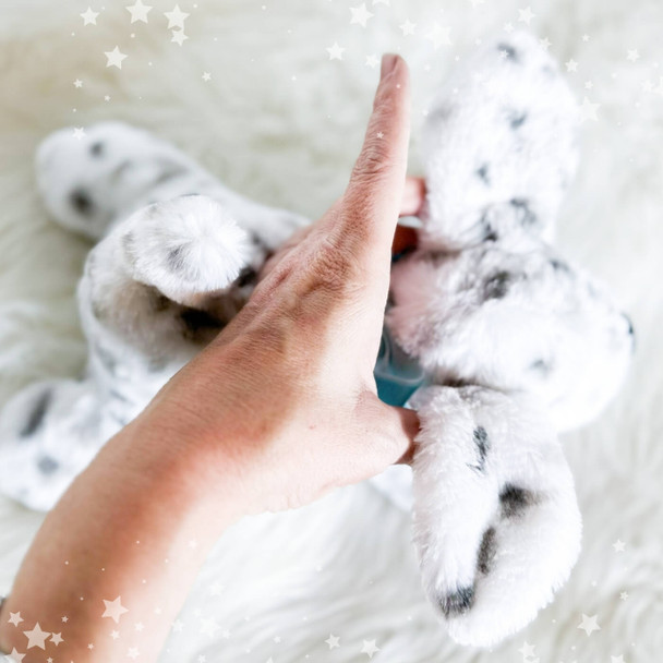 Memory Cuddle Puppy Dog Biscuit Plushie Design Instant Download For Machine Embroidery