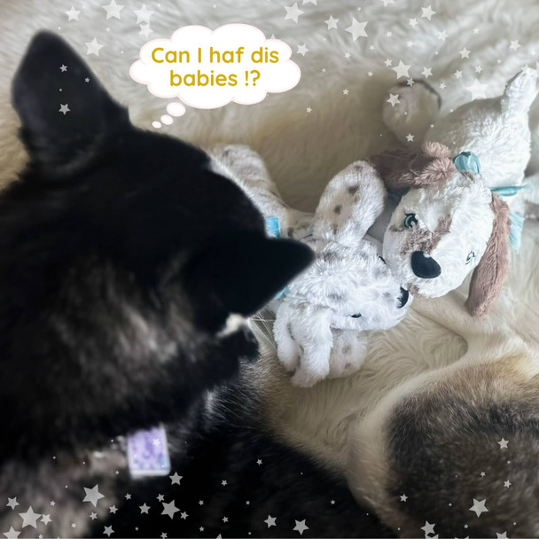 Memory Cuddle Puppy Dog Biscuit Plushie Design Instant Download For Machine Embroidery