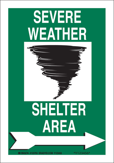 Brady Label - 123796