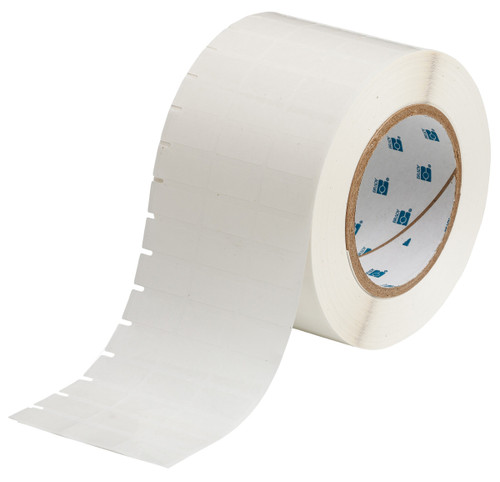 Brady Clear Polyester Label (Clear) - THT-39-430-10