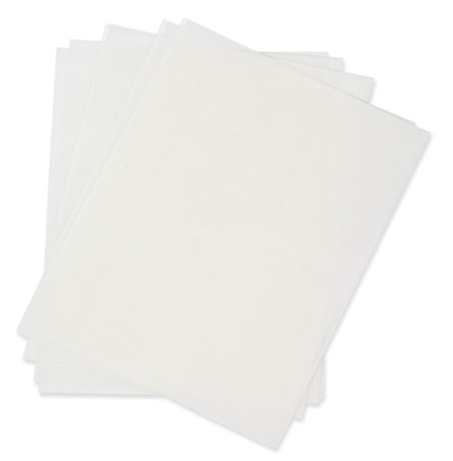 23346 - 9" x 11.5" Brady Label (Clear) (Pack of 100 Each)