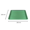 1,000 -D18 Green eps LINSTAR SOAKER trays (265 x 190 x20mm )