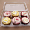 Case x 110 6 Cup Cake / Muffin Container with hinged lid