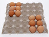 Egg Trays ( Re-used ) 21/2 dozen ( 50 trays per pack }