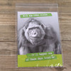 Pack x 500  8"x 10"+1.25" ( 200 x 250 +40mm )Self Seal Clear Polyprop Opp Greeting Card Bags