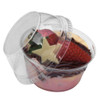 Pack x 25 - 5oz Crystal Clear Desert tub and Dome lid