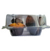 Large Muffin Cupcake Container Plastic with Hinged Lid - Pack of 50