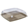 Large 14" Sabert Square Pulp Platter and Clear Lid ( 355 x 355 x 80mm ) Pack x 5