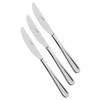 Sola Florance 18/10  s/s Dessert Knife dozen )