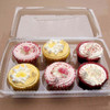 Pack x  50 6 Cup Cake / Muffin Container with hinged lid