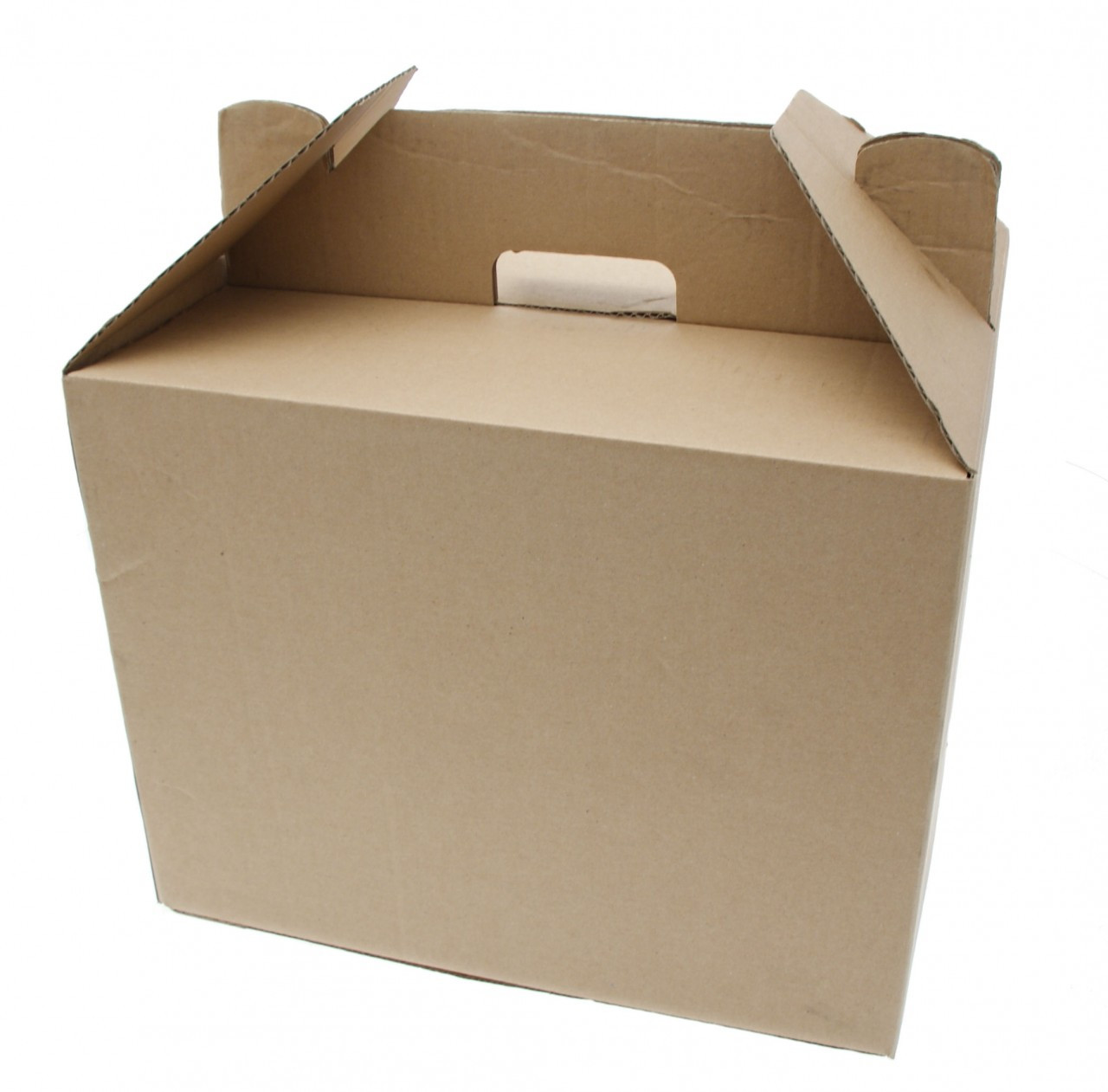 Food Carry Delivery Boxes Biodegradable Kraft - Individual Size