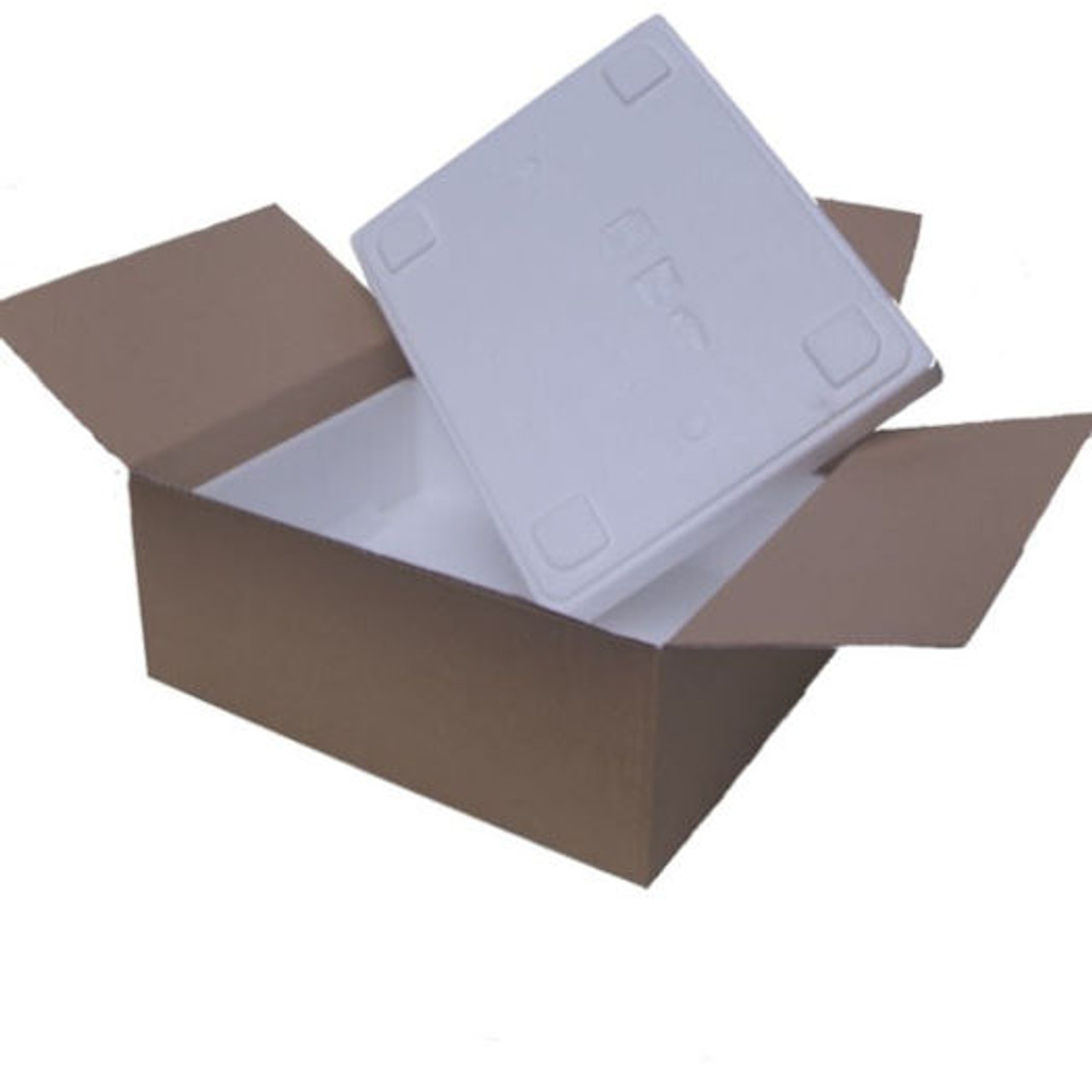 SAMPLE 8klo Polysterene Box and corrugated outer box