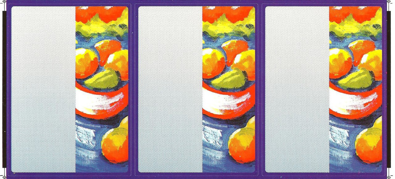 Pack x 99 Sandwich Labels ( 11 sheets x 9 labels ) Fruit design 95 x 65mm
