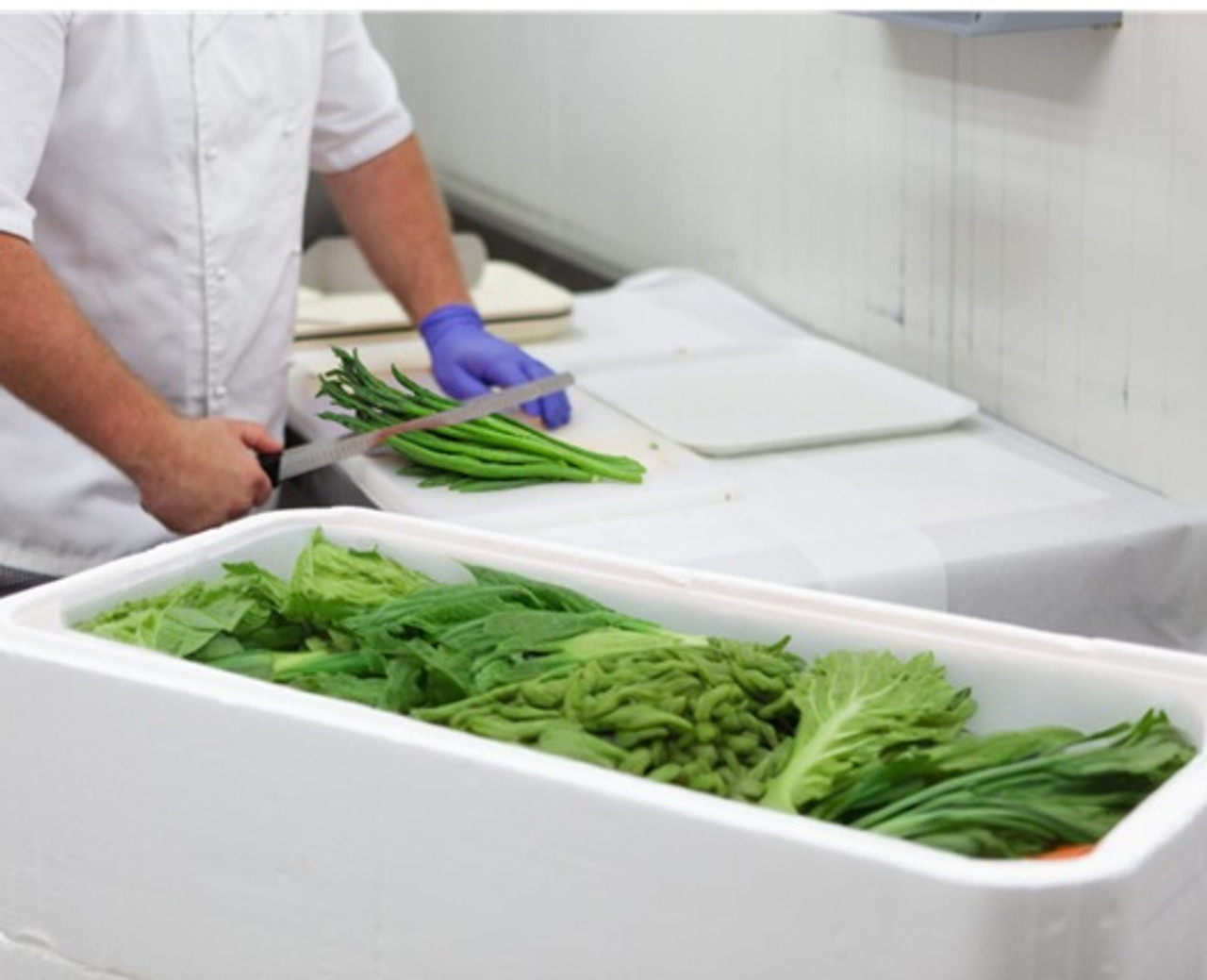 ( 4 Boxes ) 25klo LARGE Polystyrene Box and Lid 