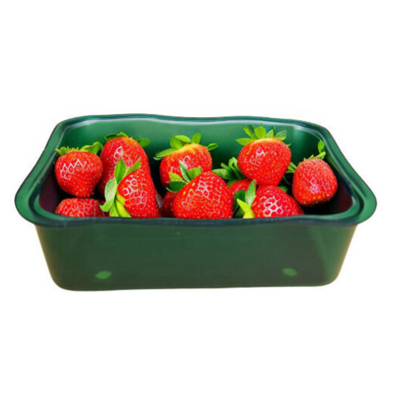 Case of 4 Green Fluted Transparent Deep Punnet Dish 190 x 138 x 60mm ( with drain holes )