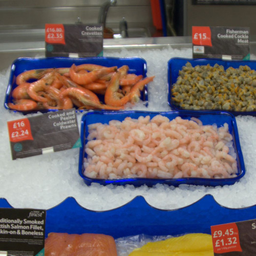 Wholesale seafood display to Offer A Cool Space for Storing 