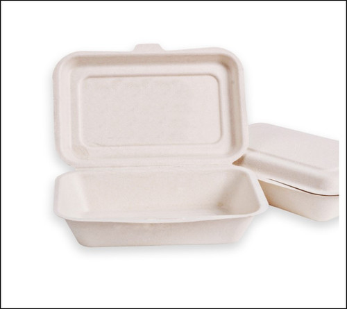 Case x 250 white Bagasse Disposable 9"x 6"  Hinged Food Box