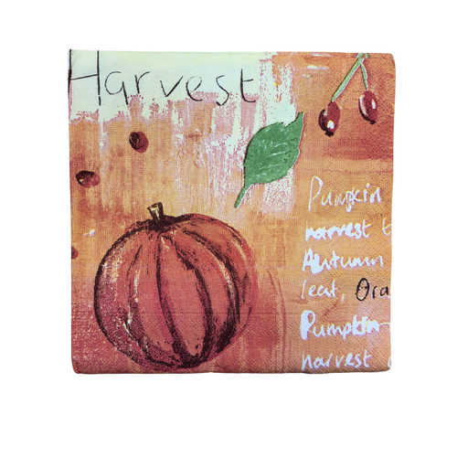 Duni Autumn Terrano Napkins 33 x 33cm 3ply Pumpkin Harvest - Pack of 50 Duni Autumn Terrano Napkins 33 x 33cm 3ply Pumpkin Harvest - Pack of 50
